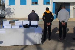 الشلف: توقيف عصابة سرقة المواشي في الزبوجة