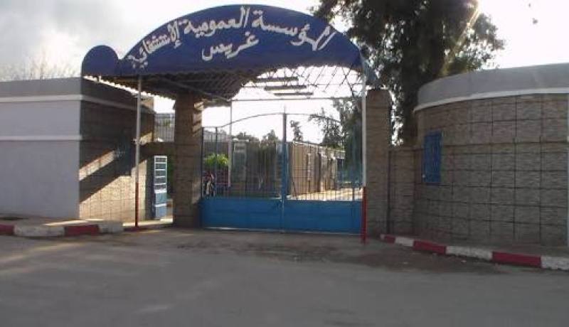 معسكر.. عائلة تطالب بلجنة تحقيق بعد وفاة ابنتها الحامل وجنينها بمستشفى غريس