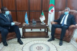 منظمة الصحة العالمية: دعم الجزائر ثابت في مجال الصحة