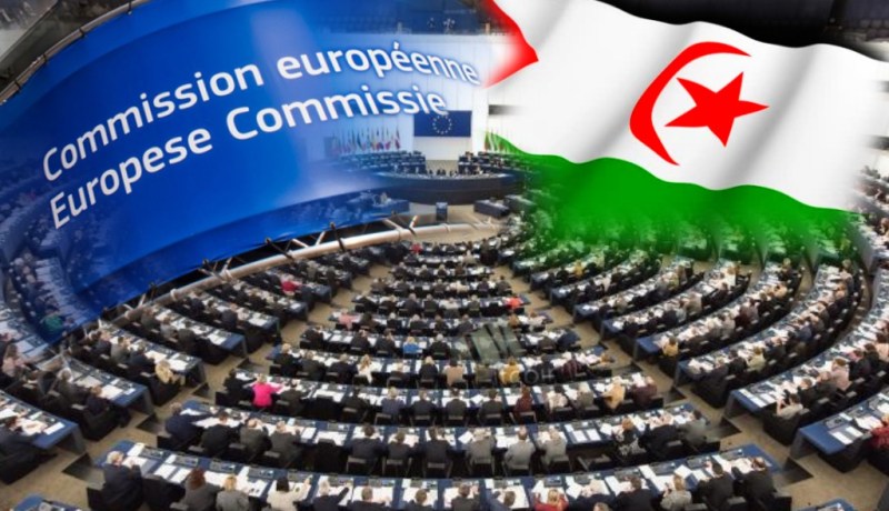 المغرب يعترف بعدم السيادة على أراضي الصحراء الغربية المحتلة