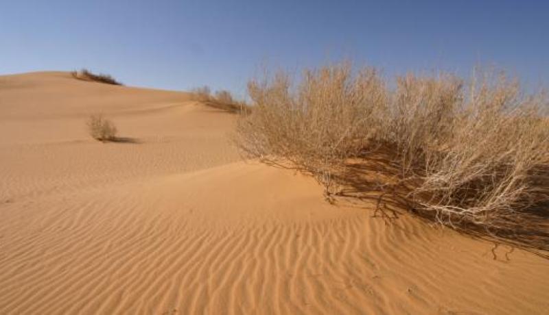 الجيش والدرك يعثران على شاب مفقود بتبسة