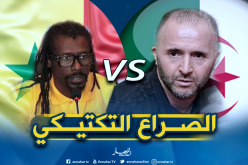 بلماضي..أليو سيسي.. مباراة داخل مباراة