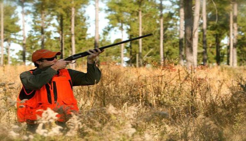 عودة نشاط الصيد البري بعد 25 سنة من التجميد