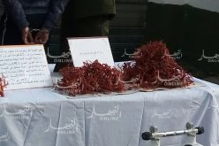 الطارف.. حرس السواحل يحجز 1.5 كغ من المرجان ومعدات بالقالة
