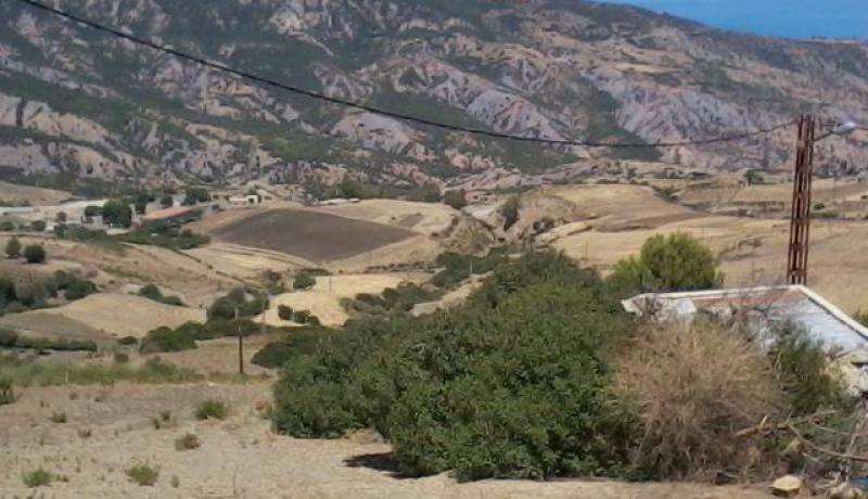 الشلف.. الدرك يحقق حول تورط منتخبين سابقين في شبهة الفساد بالظهرة