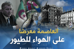 العاصمة ستتحول إلى معرض مفتوح للطيور طوال السنة
