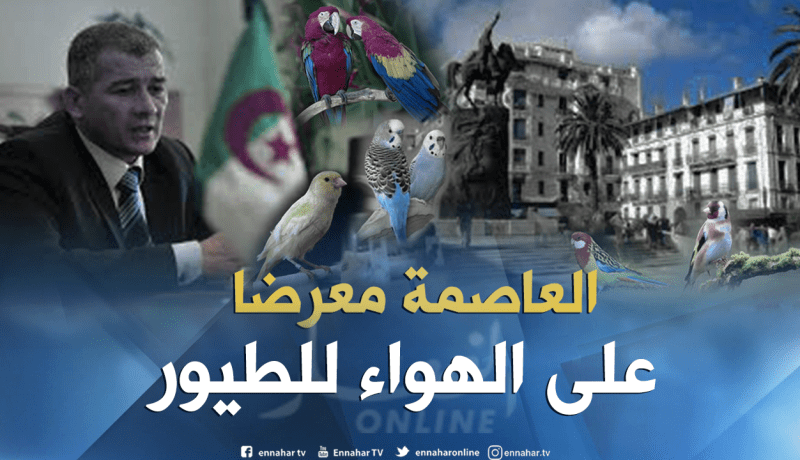 العاصمة ستتحول إلى معرض مفتوح للطيور طوال السنة