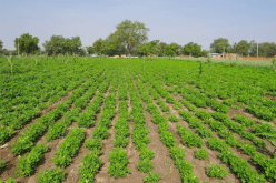 بوعزقي : ملف العقار سيتم تسويته نهاية 2018