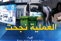 جمع 900 ألف جلد أضحية يومي العيد