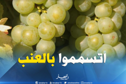 إصابة 7 أفراد من عائلة واحدة بتسمم بعد تناولهم فاكهة العنب بالبليدة
