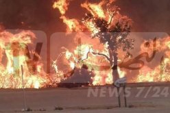 بجاية: نشوب 29 حريق بغابات الولاية في ظرف يوم