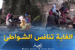 بالفيديو.. لهذا السبب تنافس الغابات الشواطئ هذا الصيف