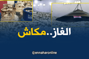 أم البواقي: مربو الدواجن يطالبون بتوفير غاز البوتان للإستمرار في نشاطهم