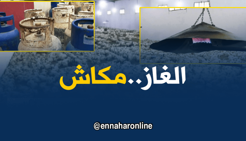أم البواقي: مربو الدواجن يطالبون بتوفير غاز البوتان للإستمرار في نشاطهم
