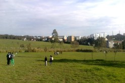 تحويل ملعب “الغولف” إلى شركة سوناطراك