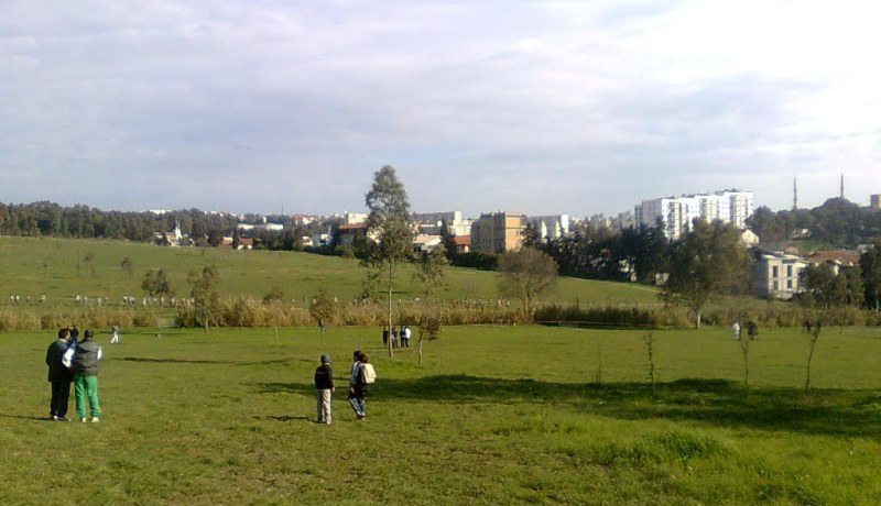 تحويل ملعب “الغولف” إلى شركة سوناطراك