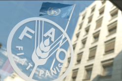 انخفاض ملحوظ في الأسعار العالمية للمواد الغذائية في جويلية