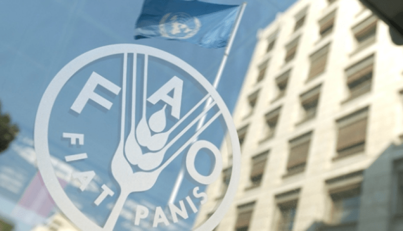 انخفاض ملحوظ في الأسعار العالمية للمواد الغذائية في جويلية