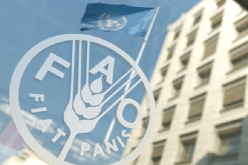 منظمة الأغذية والزراعة “الفاو”: الآلاف يموتون بسبب الأمراض المقاومة للأدوية