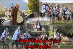 بالصور.. الفروسيّة بعين الدفلى تقليد عريق