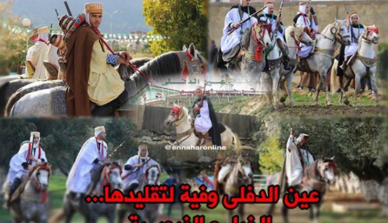 بالصور.. الفروسيّة بعين الدفلى تقليد عريق