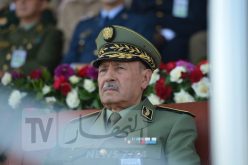 الفريق الأول بن علي بن علي: رابطة الأمة بجيشها علاقة وجدانية وربانية ستظل قائمة