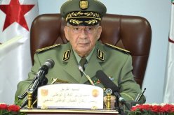 قايد صالح: الإنتخابات المقبلة هي من سترسم معالم الدولة الجزائرية الجديدة