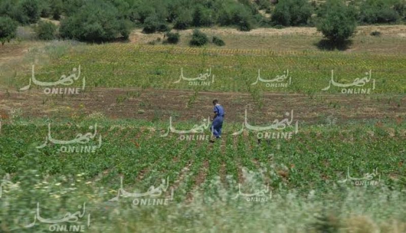 إلغاء تصنيف قطع أراضى فلاحية موجّهة لإنجاز سكنات وتجهيزات عمومية بعض الولايات