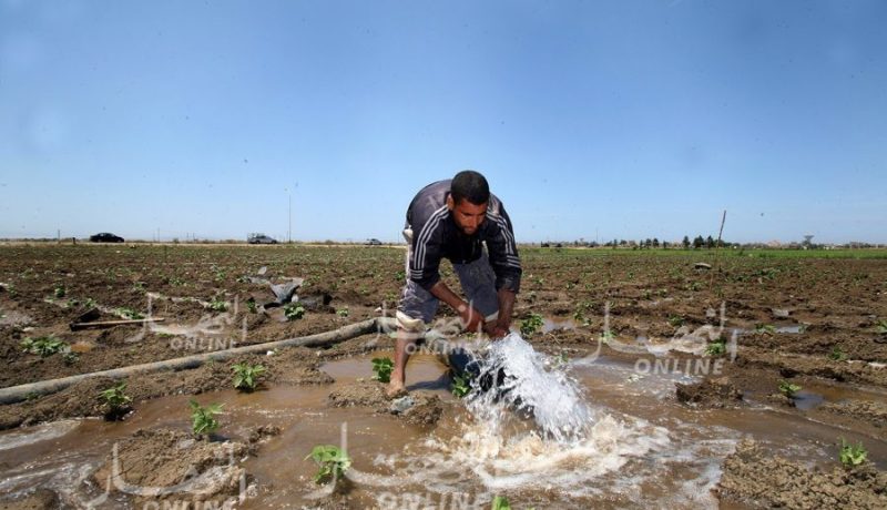 ملتقى وطني حول الفلاحة ديسمبر المقبل بمشاركة 1200 فلاح