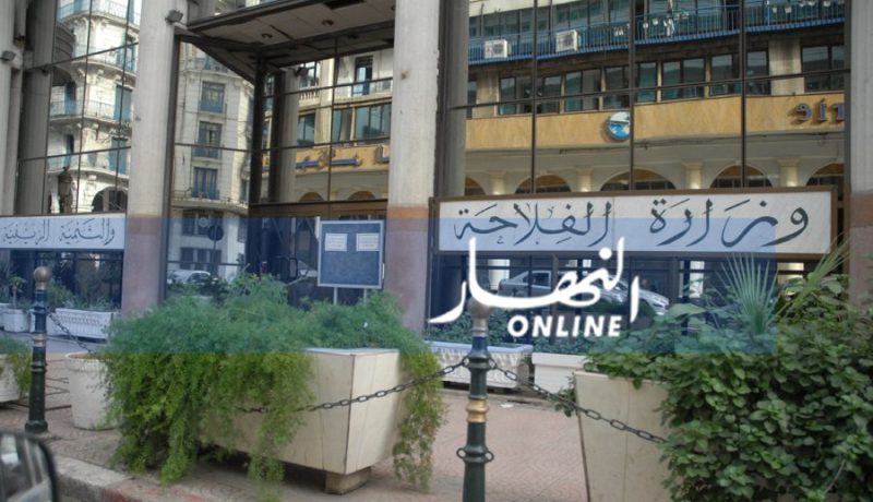 وزارة الفلاحة تكذب شائعة تجميد مهام إطارات في القطاع