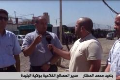 مدير الفلاحة بالبليدة: هناك إشاعات مغرضة لضرب المنتوج الفلاحي الجزائري