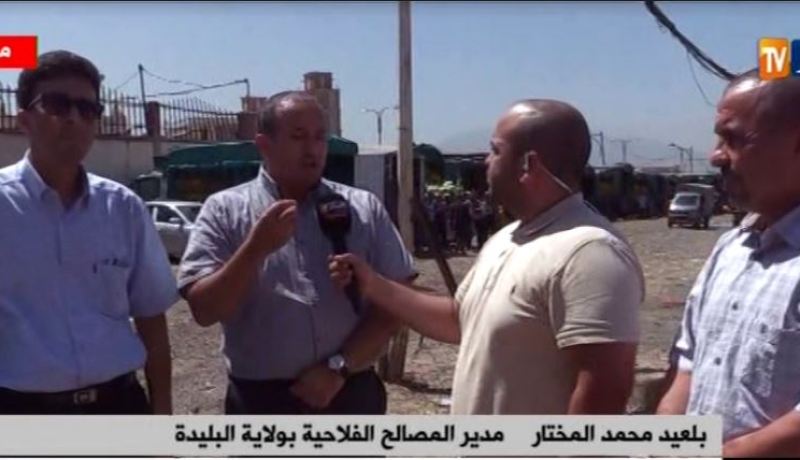 مدير الفلاحة بالبليدة: هناك إشاعات مغرضة لضرب المنتوج الفلاحي الجزائري