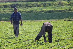 إلغــــاء “TVA” عــــلى الأسمــــدة للفلاحيــــن..!