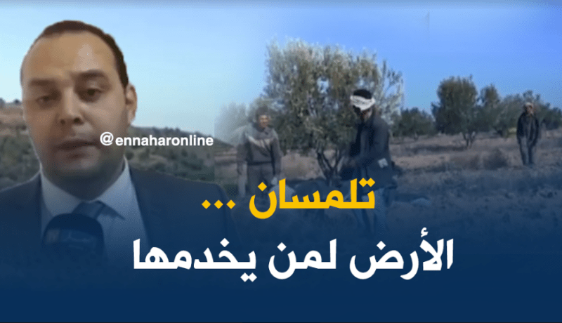 مئات الفلاحين في تلمسان لا يخدمون أراضيهم