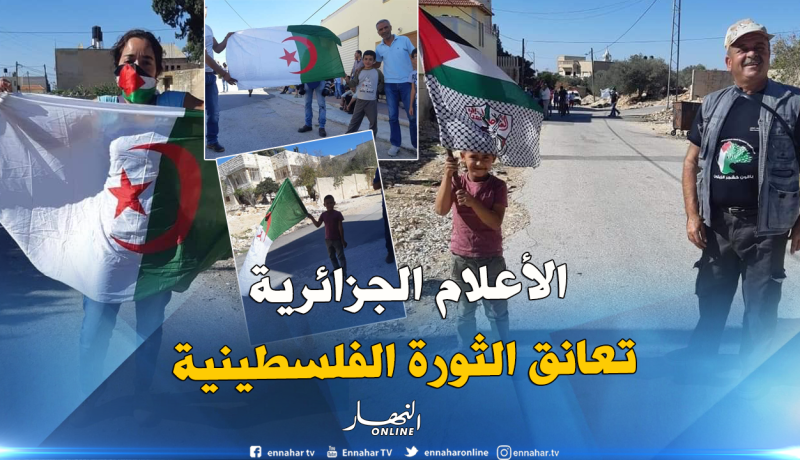 بالصو.. الفلسطينيون يحملون الأعلام الجزائرية احتفالا بذكرى الثورة التحريرية