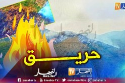 بالفيديو.. هكذا حوّلت الحرائق خضرة غابات القادرية إلى سواد ورماد