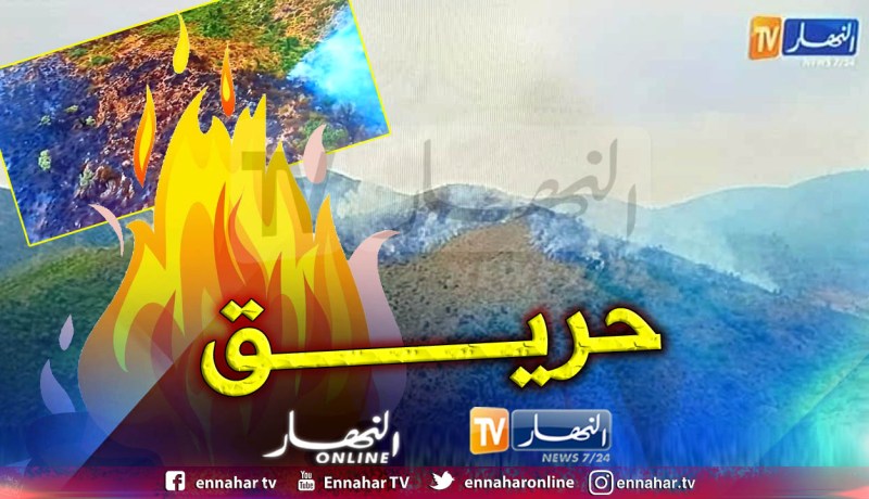 بالفيديو.. هكذا حوّلت الحرائق خضرة غابات القادرية إلى سواد ورماد