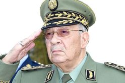 قايد صالح في زيارة عمل إلى الأكاديمية العسكرية لشرشال غدا الثلاثاء