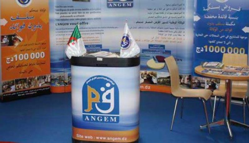 جبنون: 50 بالمائة من القروض المصغرة مبرمجة سنة 2021 لفائدة النساء