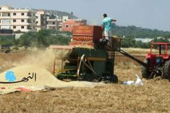 تخفيض تموين المطاحن بالقمح الصلب بنسبة 10 ٪