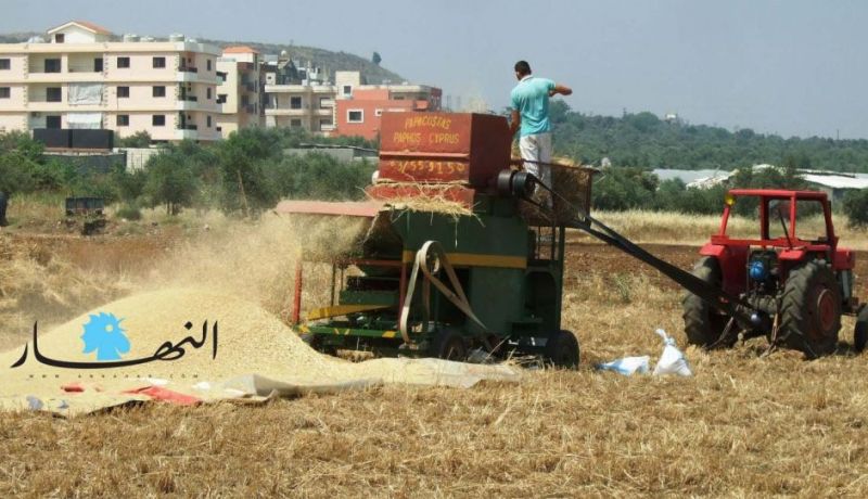 5 آلاف دينار سعر القنطار الواحد من القمح بـــدلا مــــن 4500 دينــــار