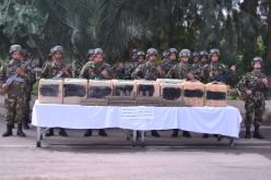 بالصور.. الجيش يضبط أكثر من 7 قناطير من الكيف ببشار