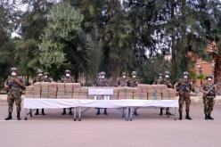 حجز أزيد من 23 قنطار “زطلة” في بني ونيف ببشار