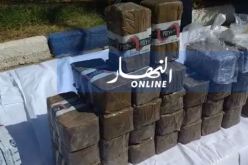 ضبط أزيد من 5 قناطير “زطلة” بمنطقة واد العرعار في النعامة