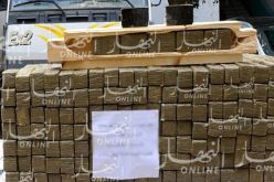 حجز أكثر من قنطار زطلة في عدة ولايات من الوطن
