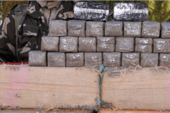 توقيف 37 بارون مخدرات بينهم مغاربة وحجز أزيد من 24 قنطار زطلة!