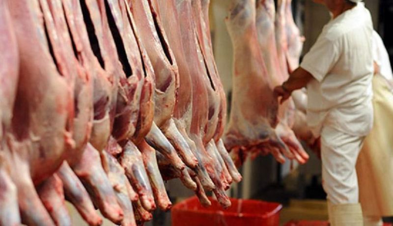 حجز لحوم وأحشاء فاسدة في تيارت