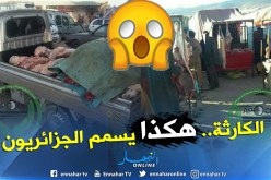 بالصور .. هكذا ينقل “الهربين” اللحوم للجزائريين من الباطوار للسواق