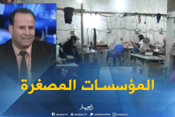 إنشاء المؤسسات المصغرة..مشاريع  بحاجة إلى الدعم