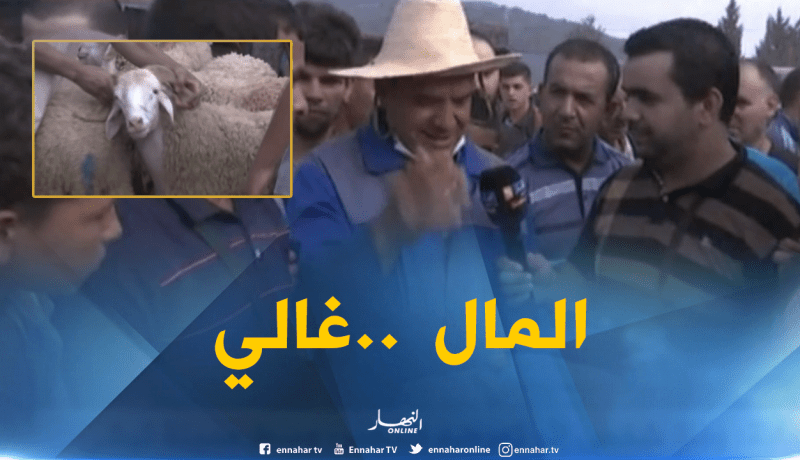 آراء المواطنين حول أسعار الأضاحي بسوق بودواو- بومرداس